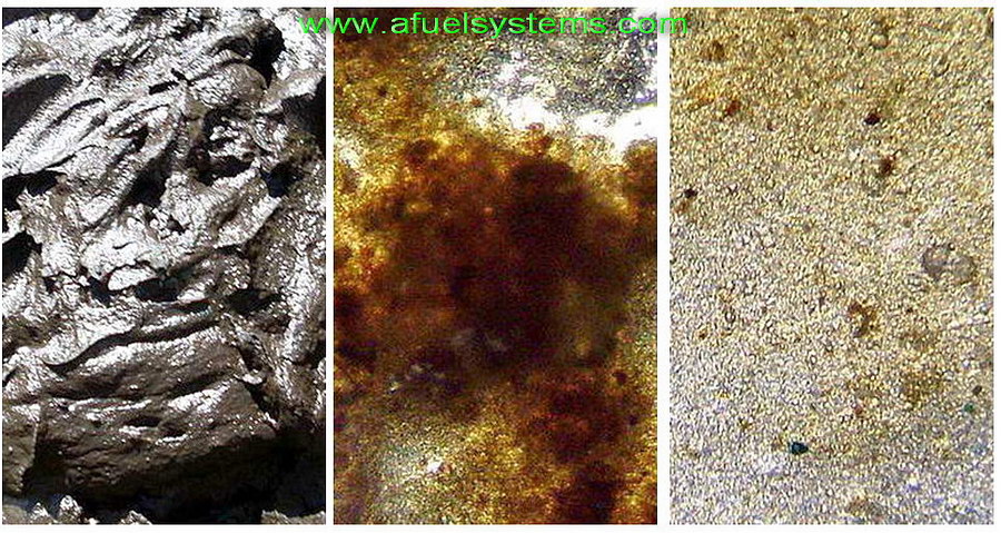 sapropel dispergation homogenization